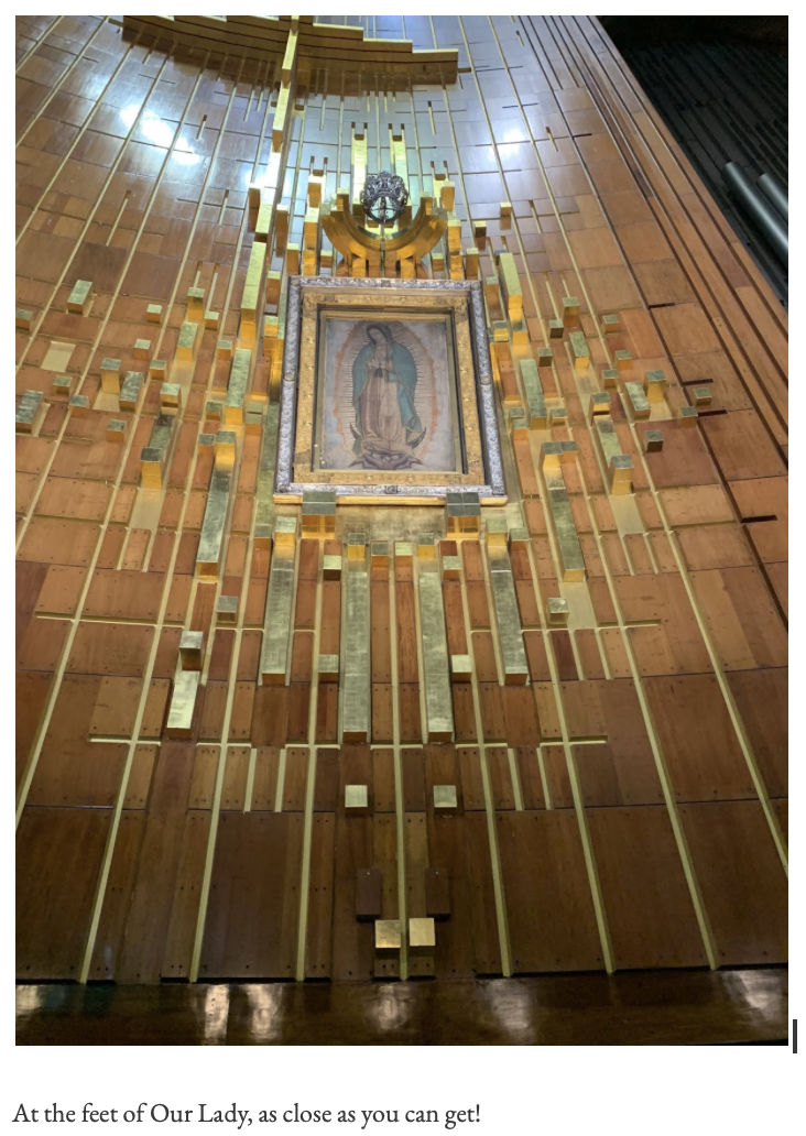 our lady of guadalupe