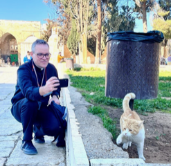 holy land cat